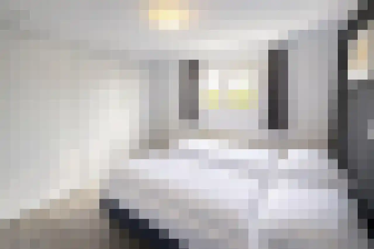 Hommelweg 2 437 Susteren thumbnail 10