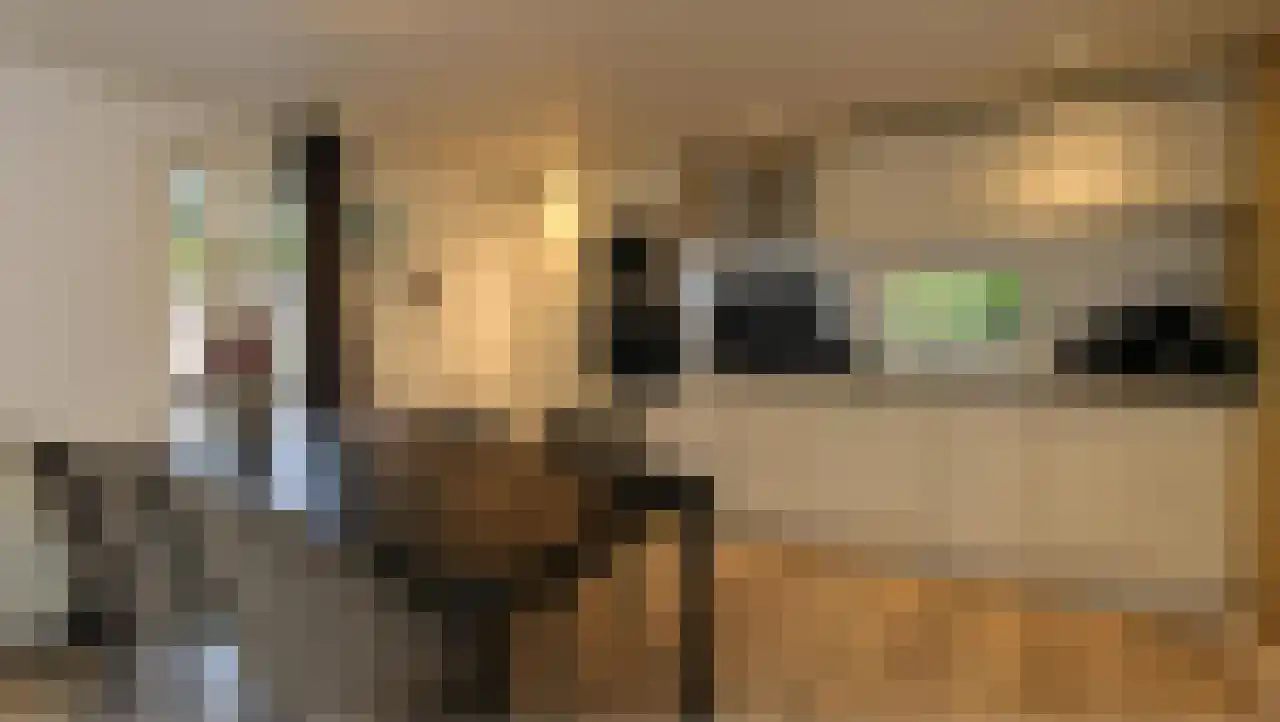 Hommelweg 2 437 Susteren thumbnail 6