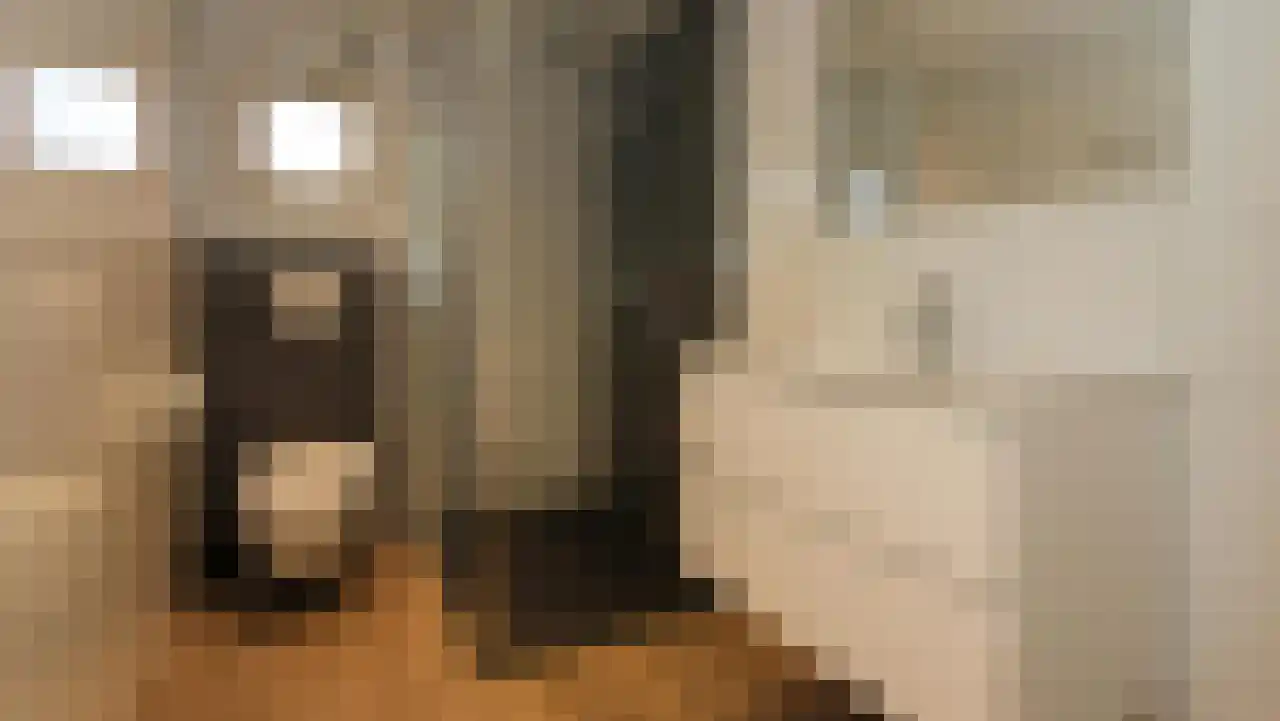 Hommelweg 2 437 Susteren thumbnail 7