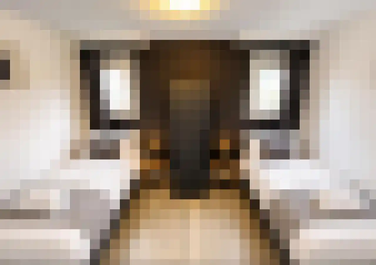 Hommelweg 2 437 Susteren thumbnail 8