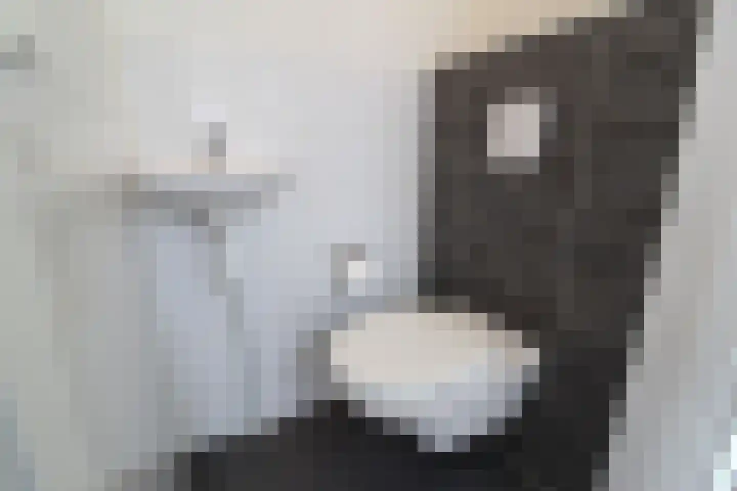 Hommelweg 2 666 Susteren thumbnail 10