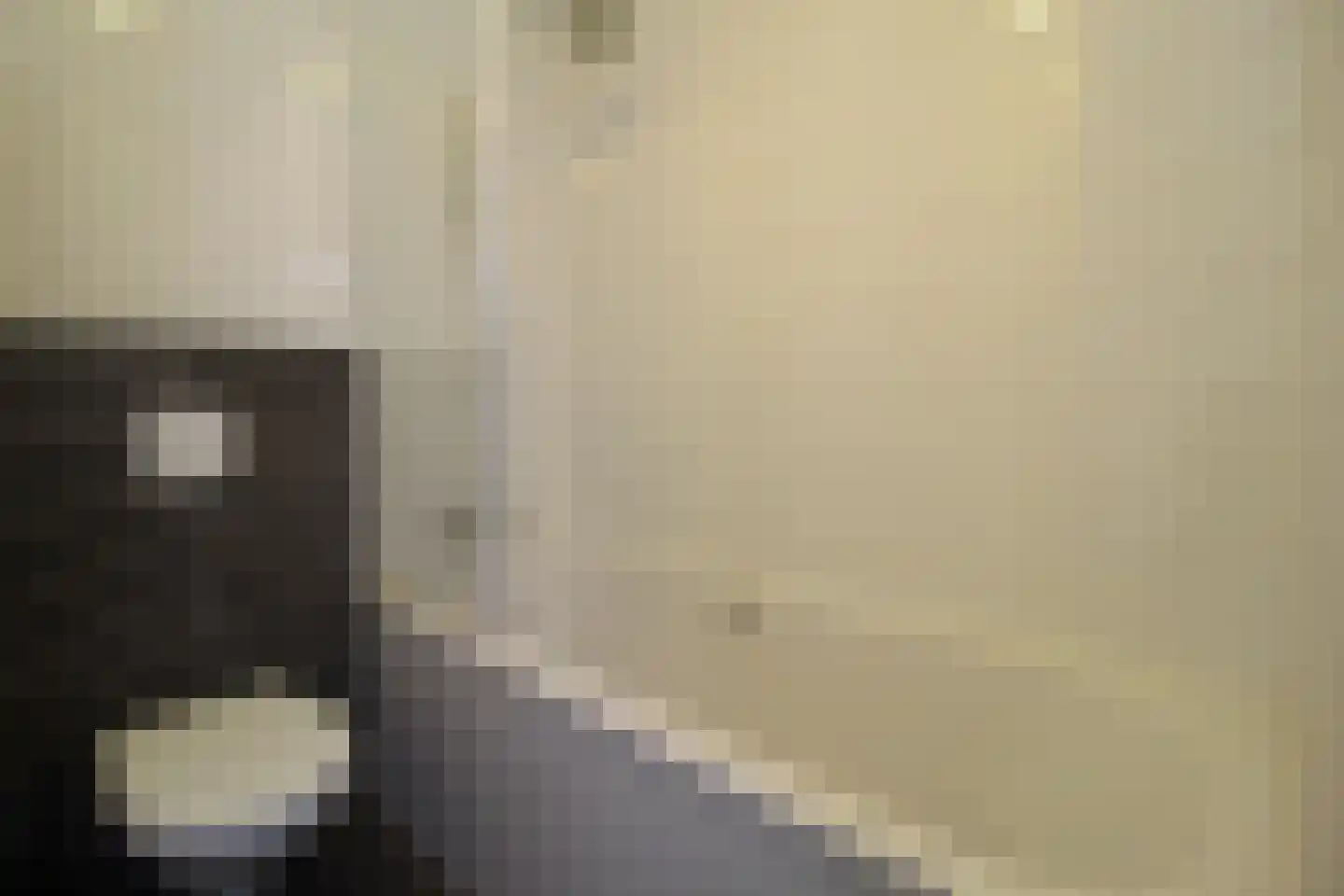 Hommelweg 2 666 Susteren thumbnail 11