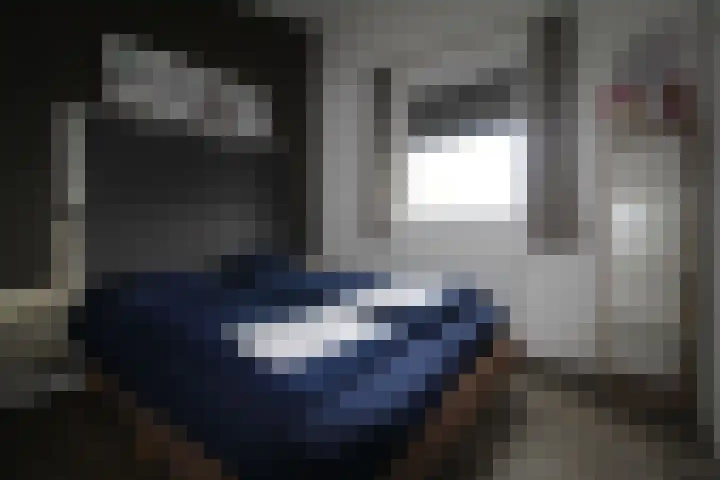 Hommelweg 2 666 Susteren thumbnail 17