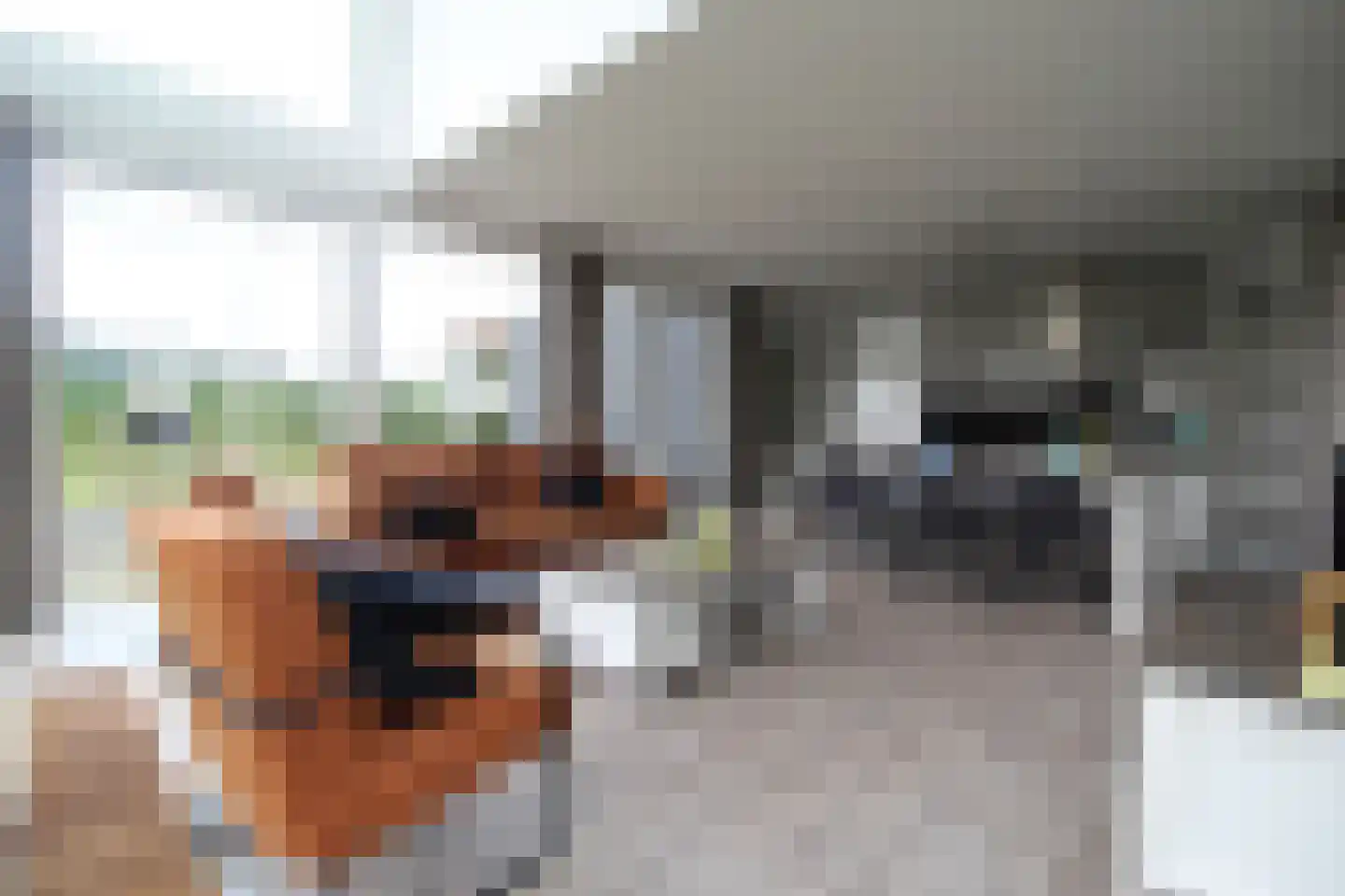 Hommelweg 2 666 Susteren thumbnail 4