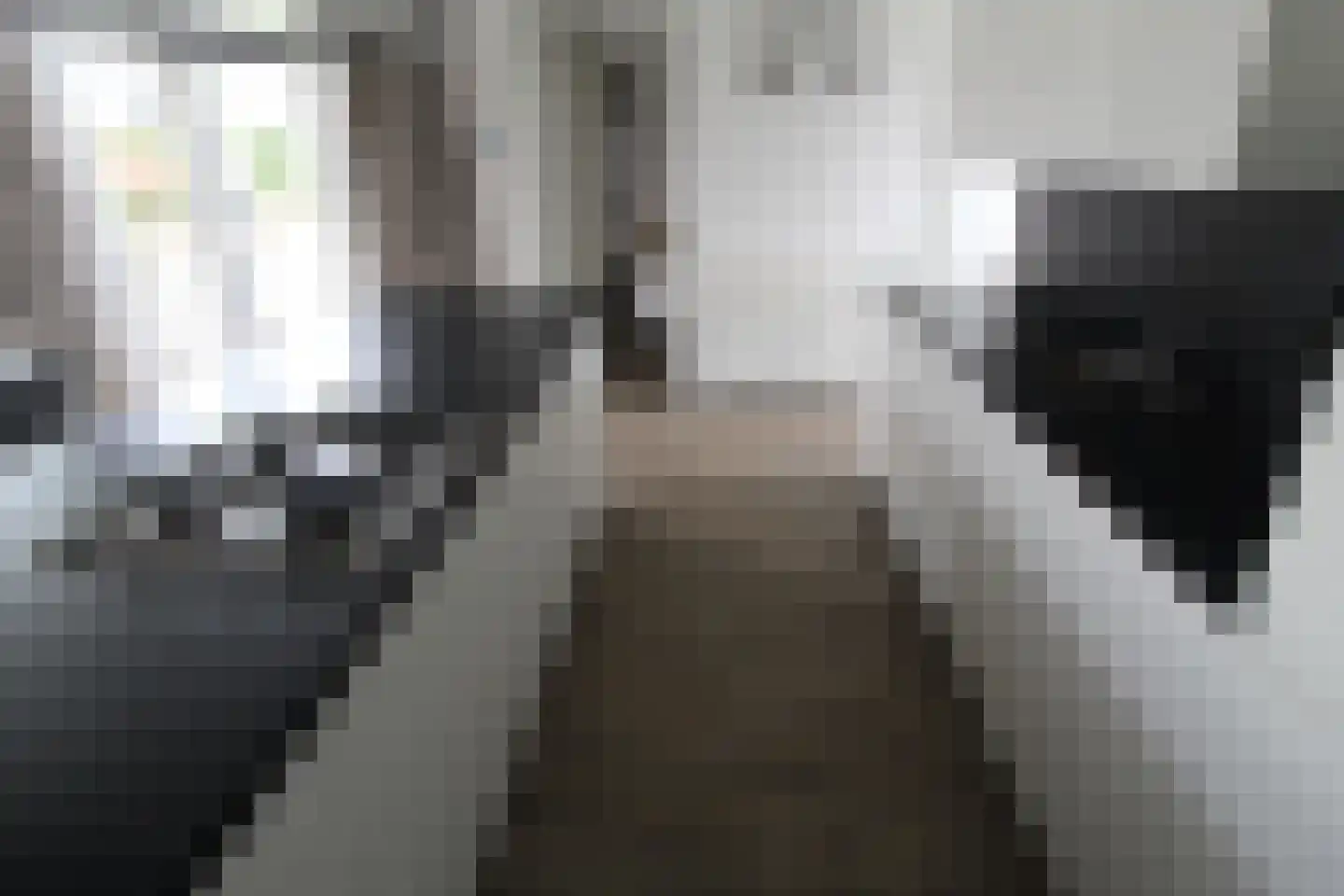 Hommelweg 2 666 Susteren thumbnail 8