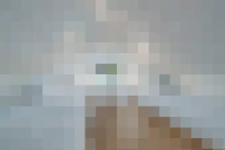 Hommelweg 2 R 1020 Susteren thumbnail 16