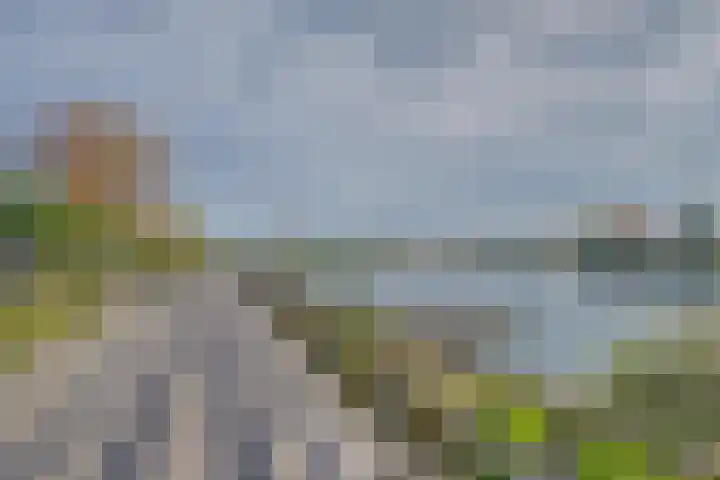 Hommelweg 2 R 1020 Susteren thumbnail 19