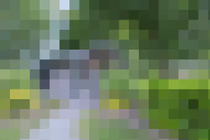 Hommelweg 2 R 1020 Susteren thumbnail 23