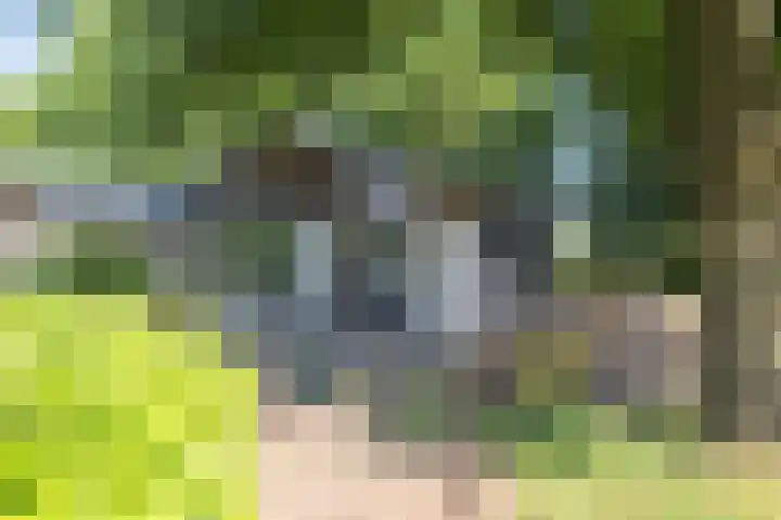 Hommelweg 2 R 1020 Susteren thumbnail 4
