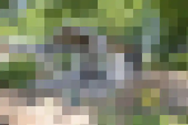 Hommelweg 2 R 1020 Susteren thumbnail 5