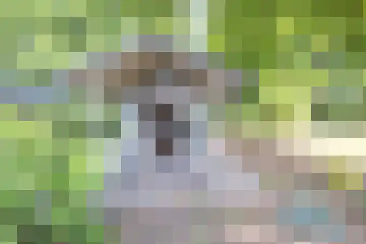 Hommelweg 2 R 1020 Susteren thumbnail 7