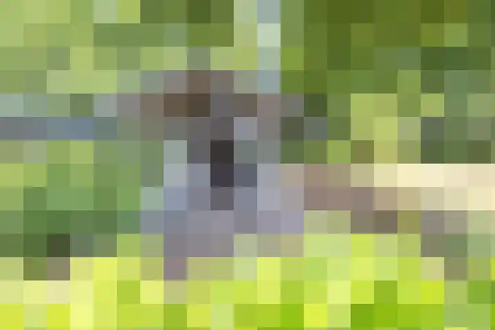 Hommelweg 2 R 1020 Susteren thumbnail 8