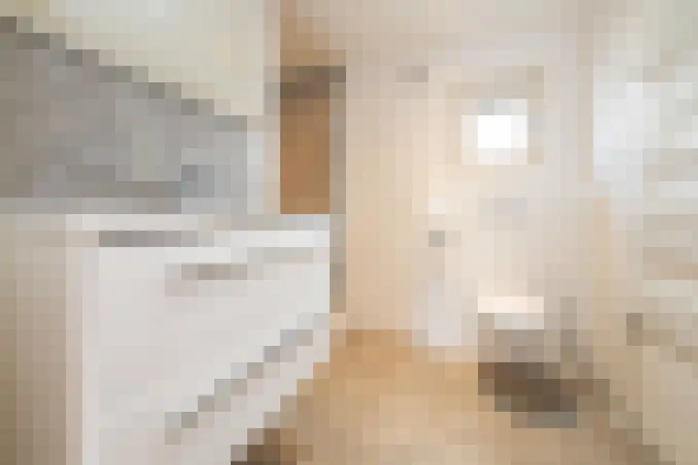 Hommelweg 2 R 119 Susteren thumbnail 10