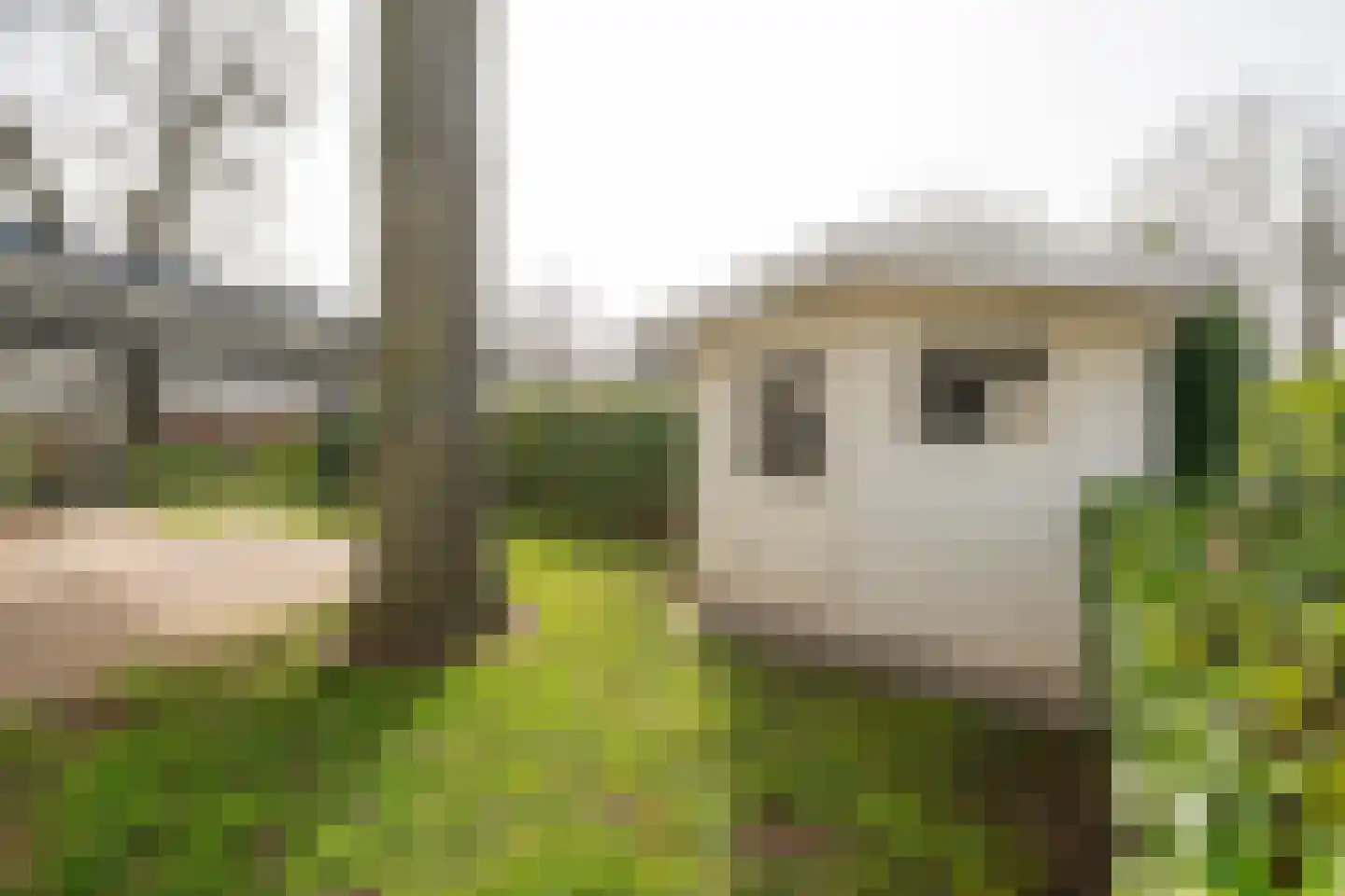 Hommelweg 2 R 119 Susteren thumbnail 16