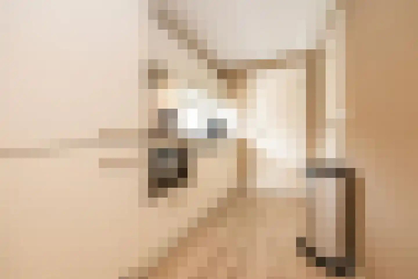 Hommelweg 2 R 119 Susteren thumbnail 8