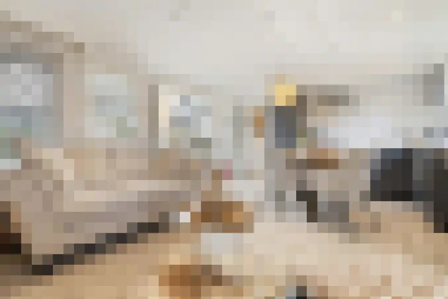 Hommelweg 2 R 131 Susteren thumbnail 10
