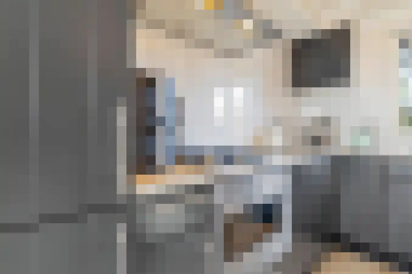 Hommelweg 2 R 131 Susteren thumbnail 11