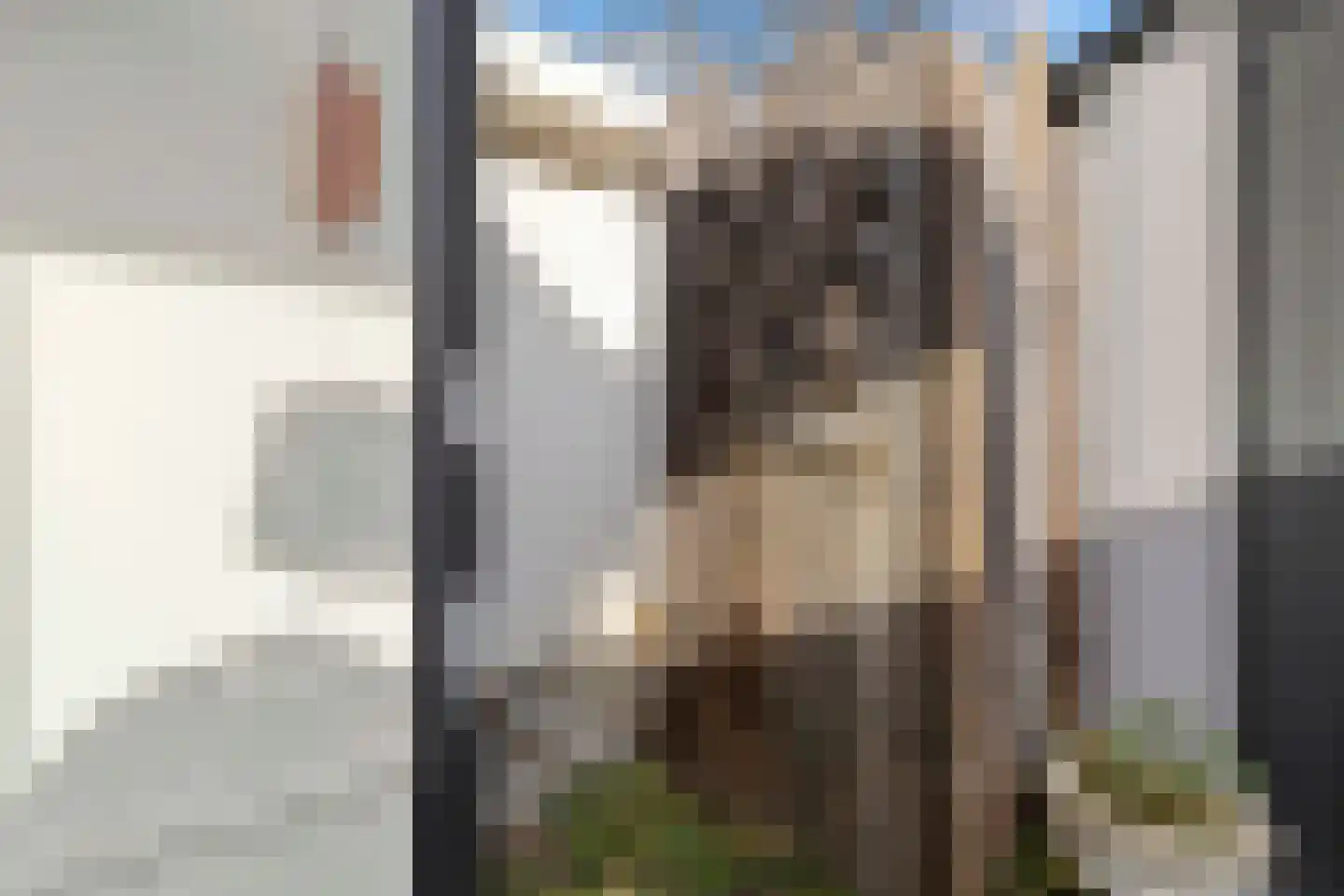 Hommelweg 2 R 131 Susteren thumbnail 35