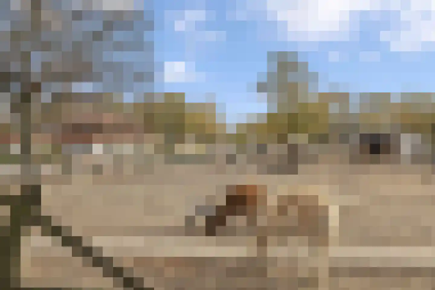 Hommelweg 2 R 131 Susteren thumbnail 48