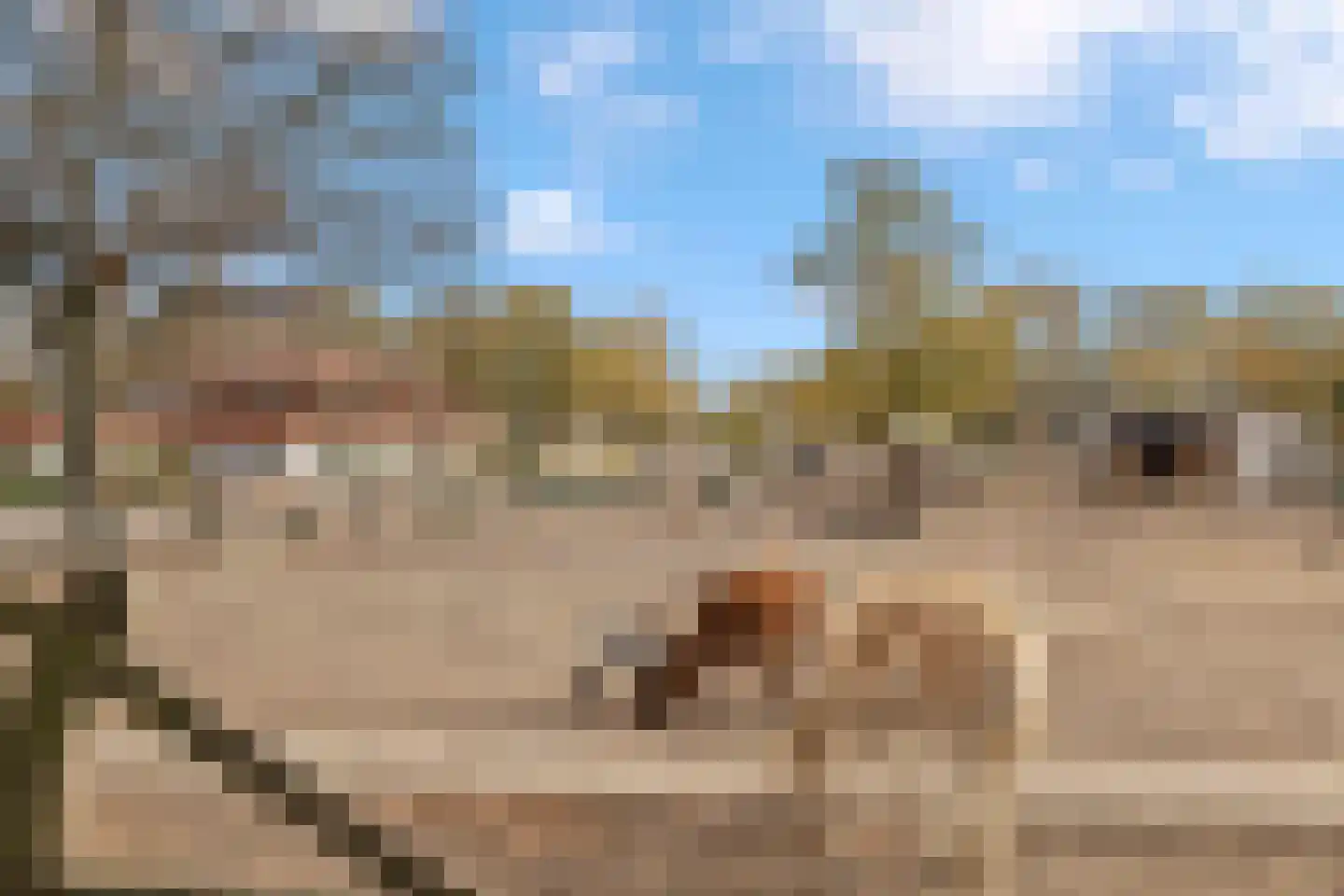 Hommelweg 2 R 131 Susteren thumbnail 48