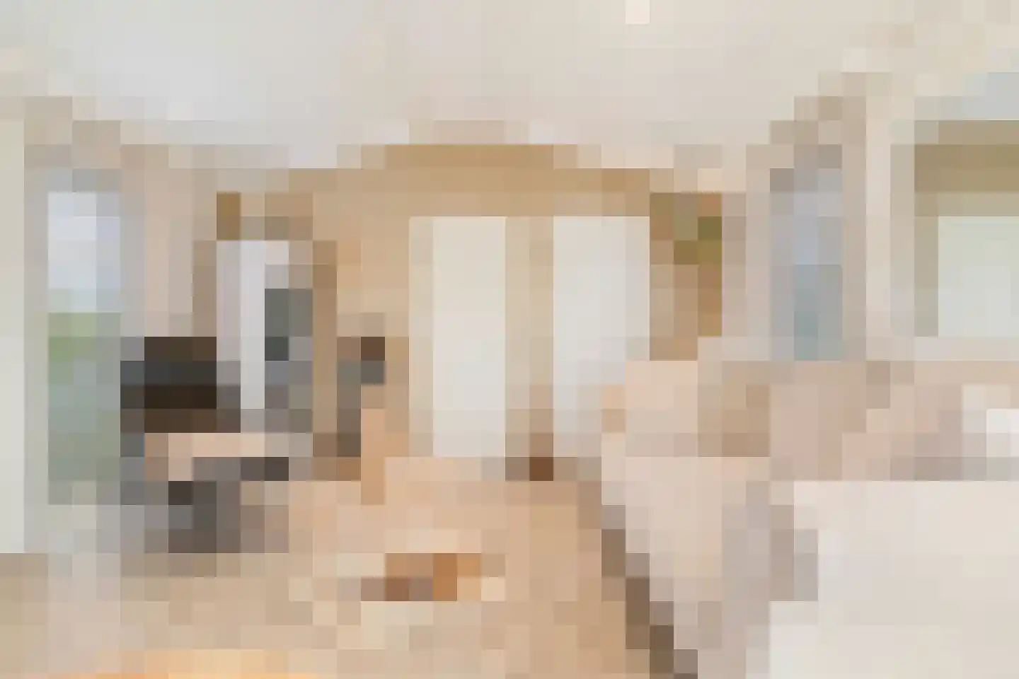 Hommelweg 2 R 131 Susteren thumbnail 8
