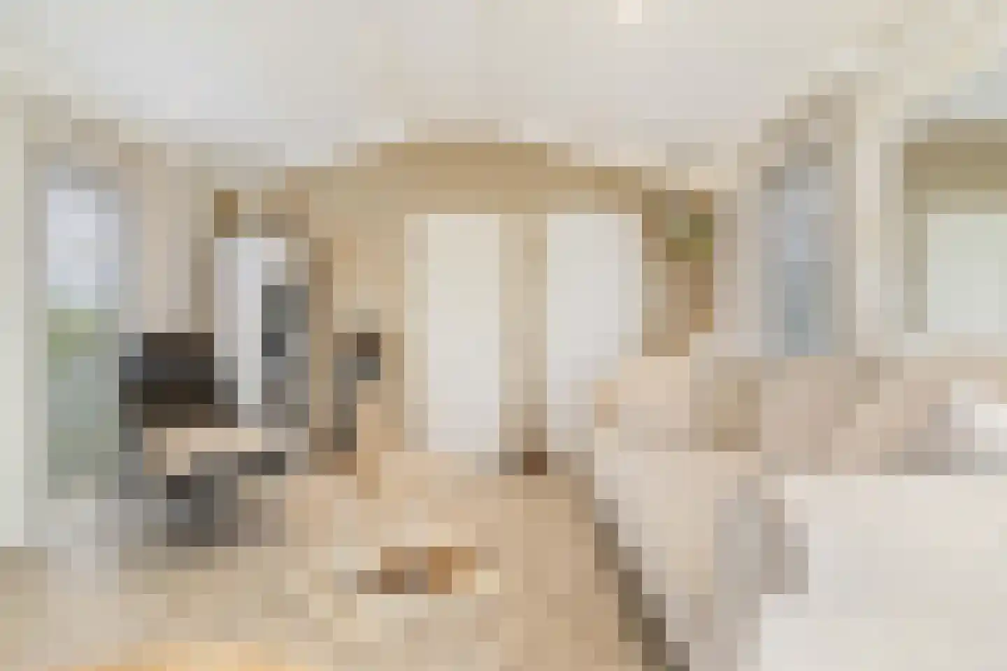 Hommelweg 2 R 131 Susteren thumbnail 8