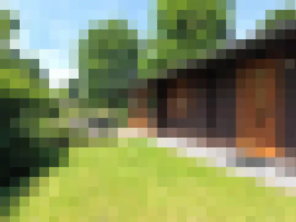 Hommelweg 2 R 150 Susteren thumbnail 10