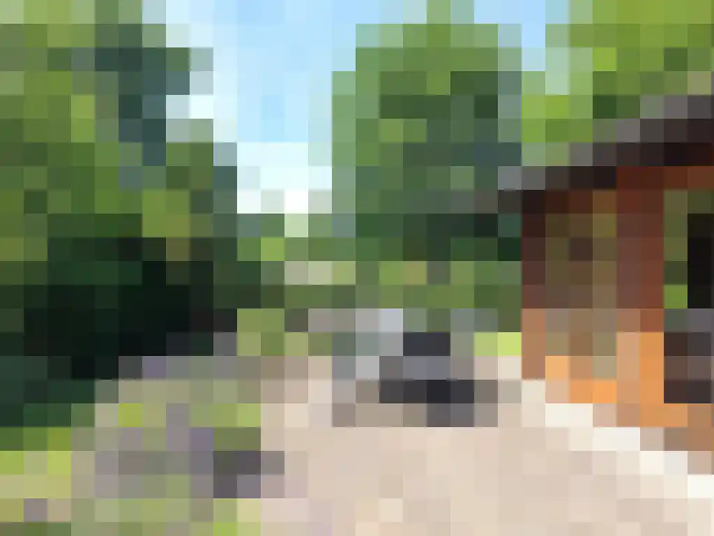 Hommelweg 2 R 150 Susteren thumbnail 11