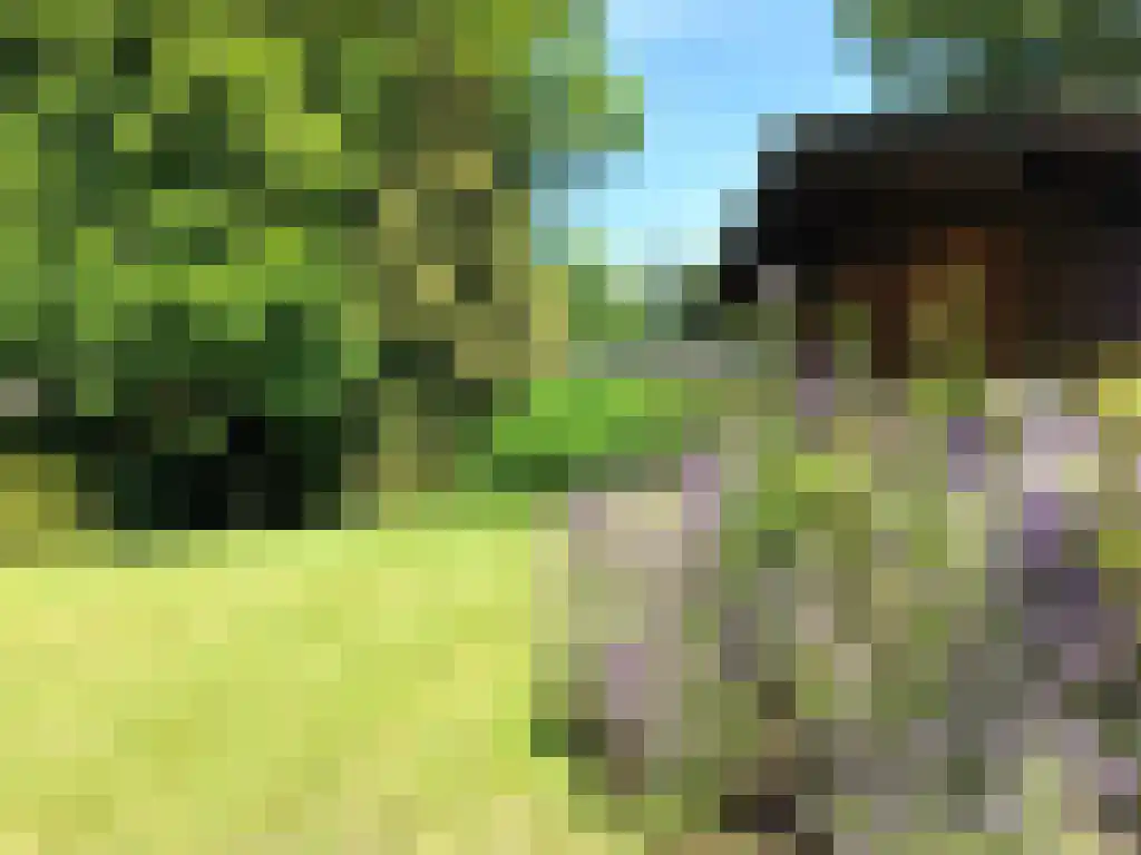 Hommelweg 2 R 150 Susteren thumbnail 12