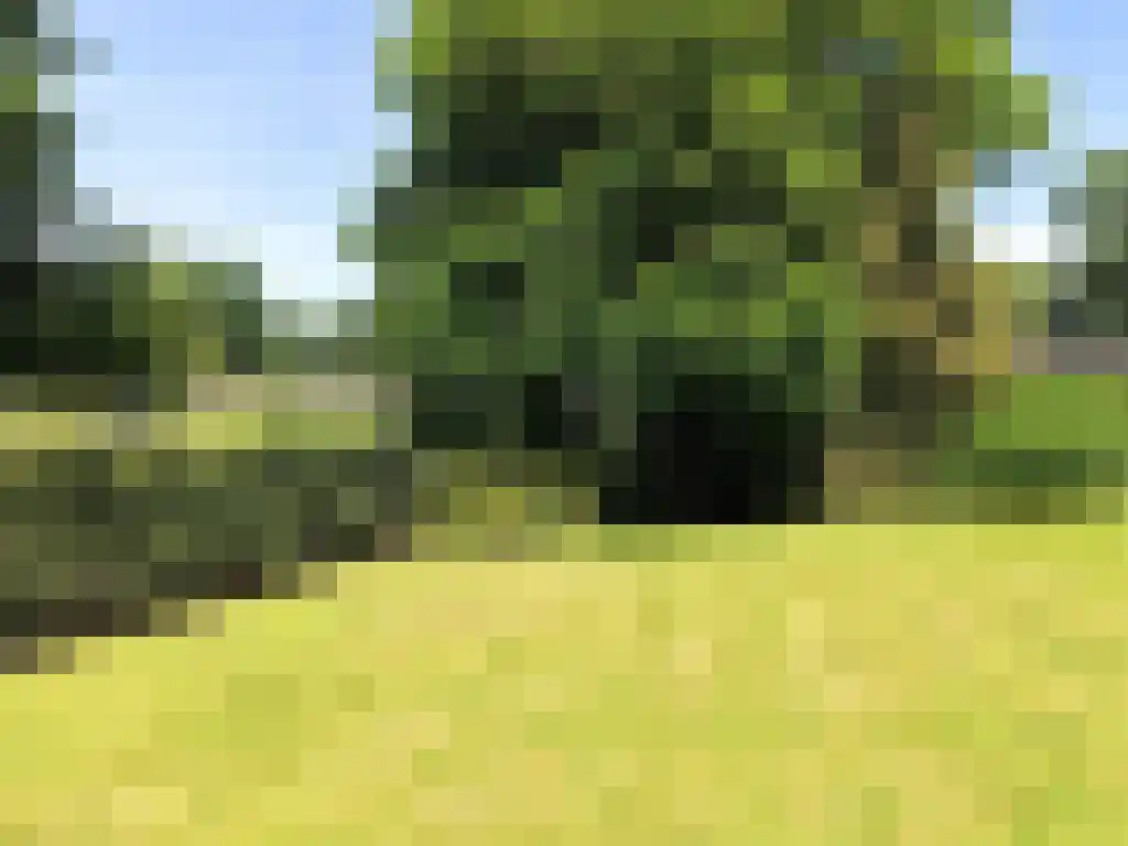 Hommelweg 2 R 150 Susteren thumbnail 13
