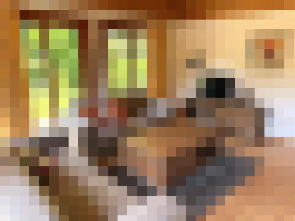 Hommelweg 2 R 150 Susteren thumbnail 18