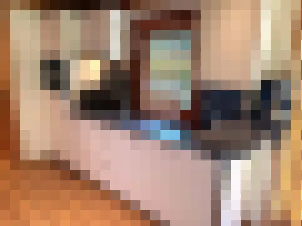 Hommelweg 2 R 150 Susteren thumbnail 19