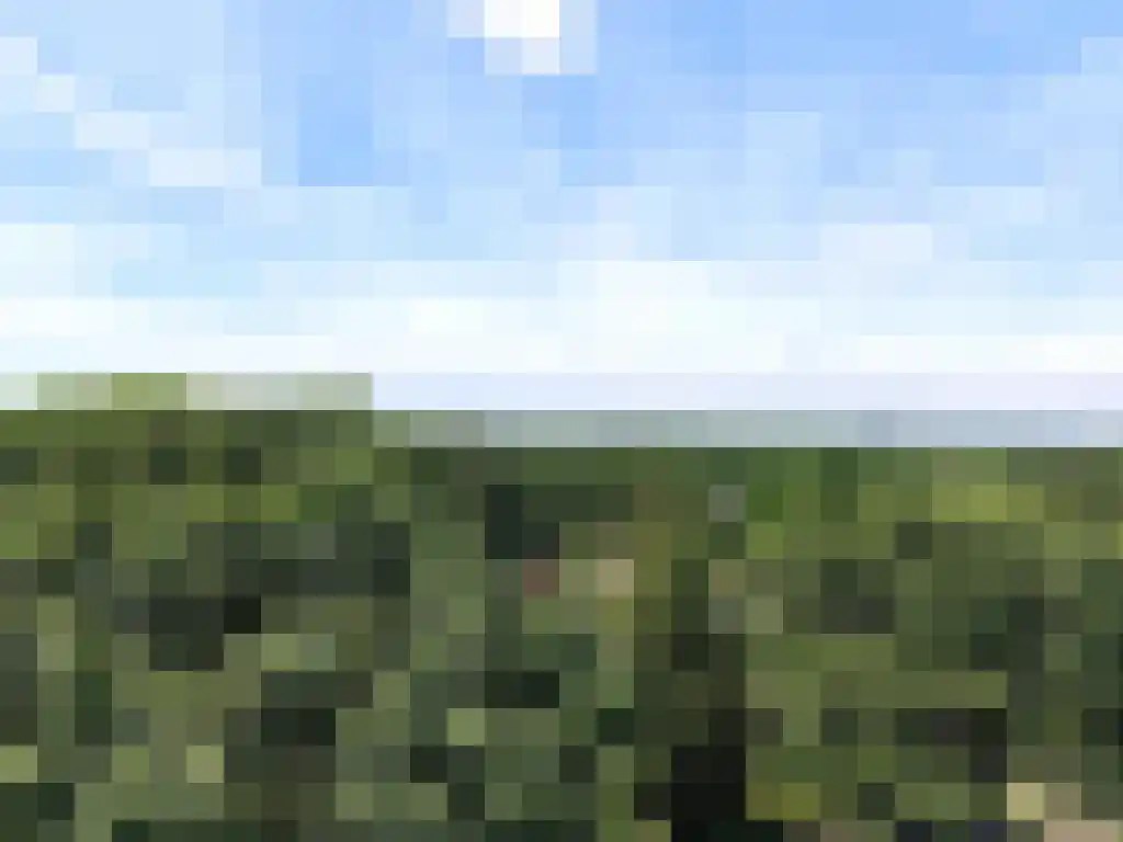 Hommelweg 2 R 150 Susteren thumbnail 30