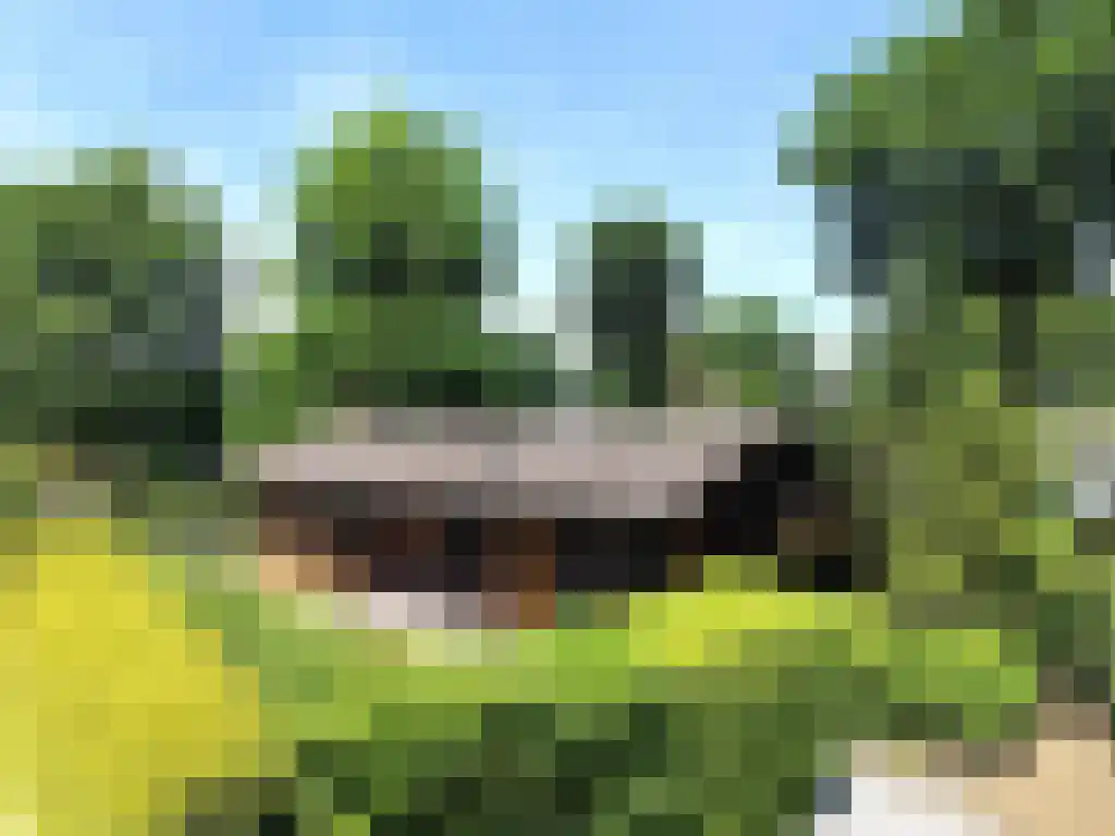 Hommelweg 2 R 150 Susteren thumbnail 4
