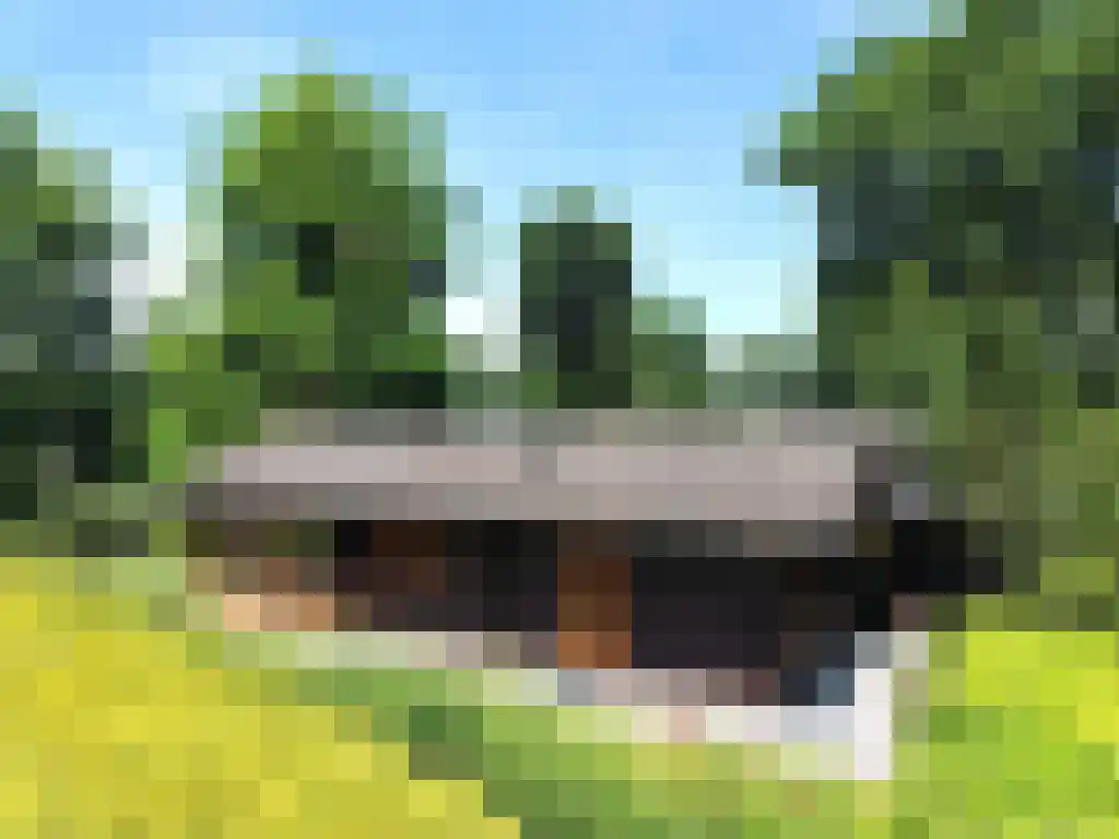 Hommelweg 2 R 150 Susteren thumbnail 5