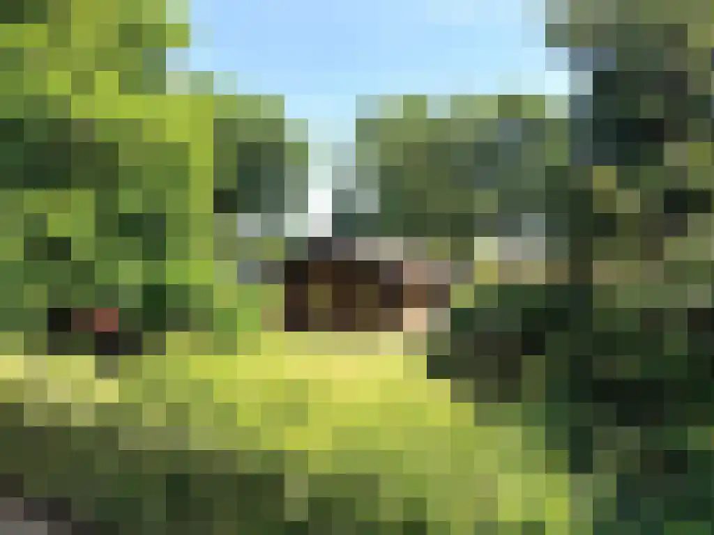 Hommelweg 2 R 150 Susteren thumbnail 6