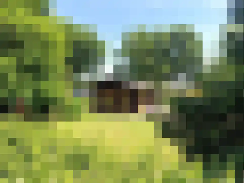 Hommelweg 2 R 150 Susteren thumbnail 7