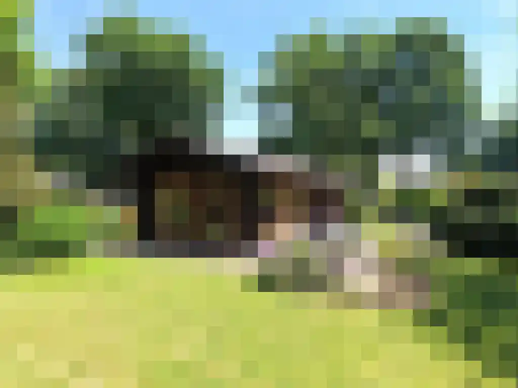 Hommelweg 2 R 150 Susteren thumbnail 8