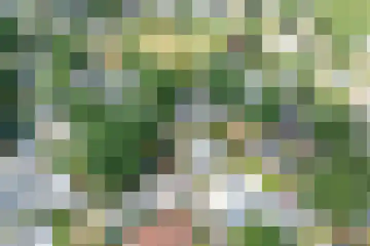 Hommelweg 2 R 152 Susteren thumbnail 19