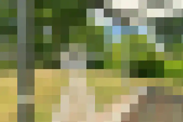 Hommelweg 2 R 152 Susteren thumbnail 4