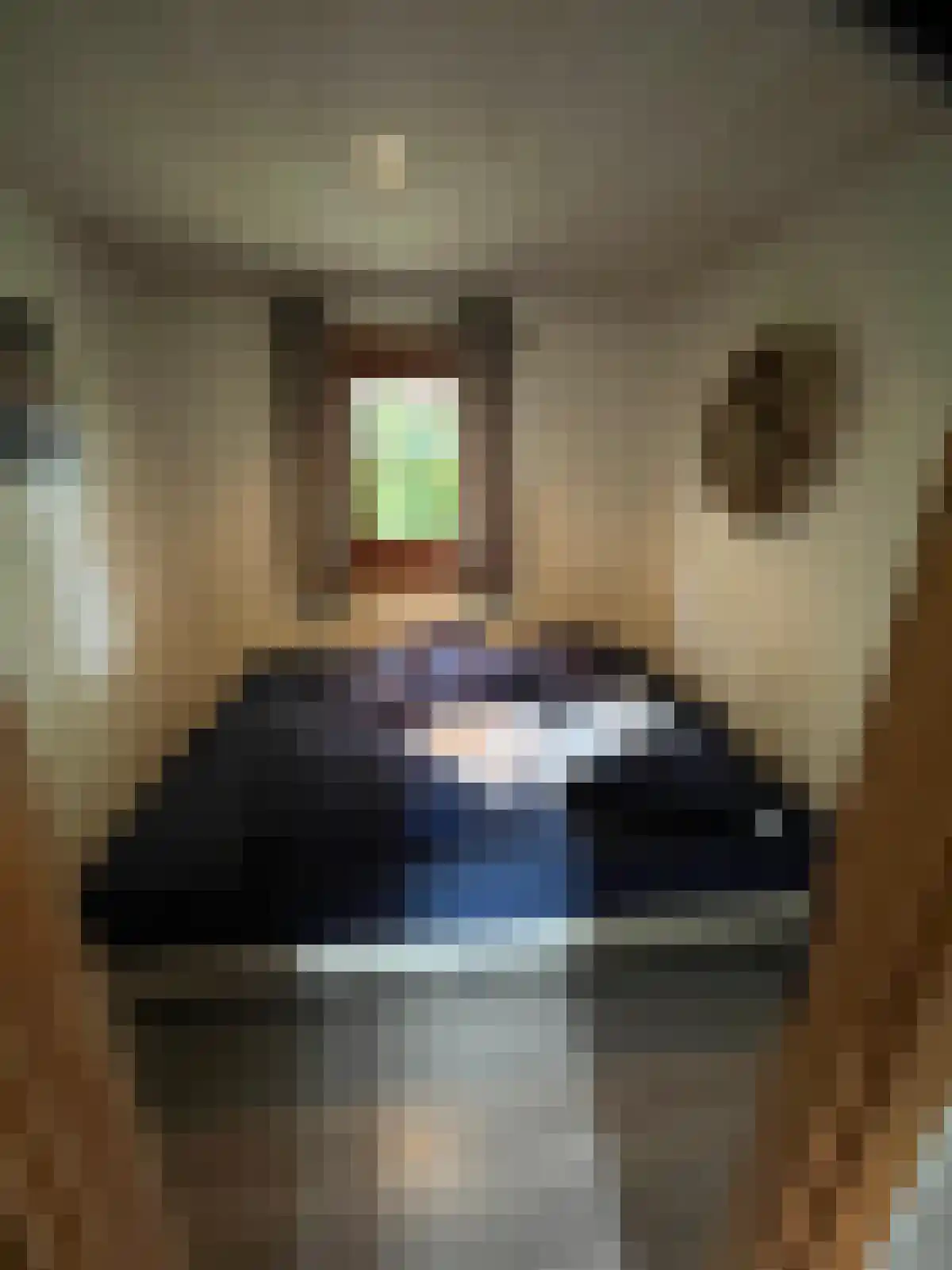 Hommelweg 2 R 218 Susteren thumbnail 10