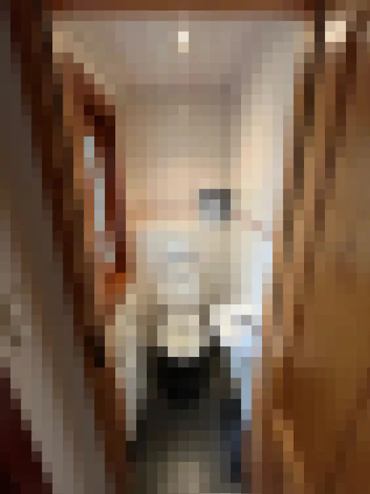 Hommelweg 2 R 218 Susteren thumbnail 14