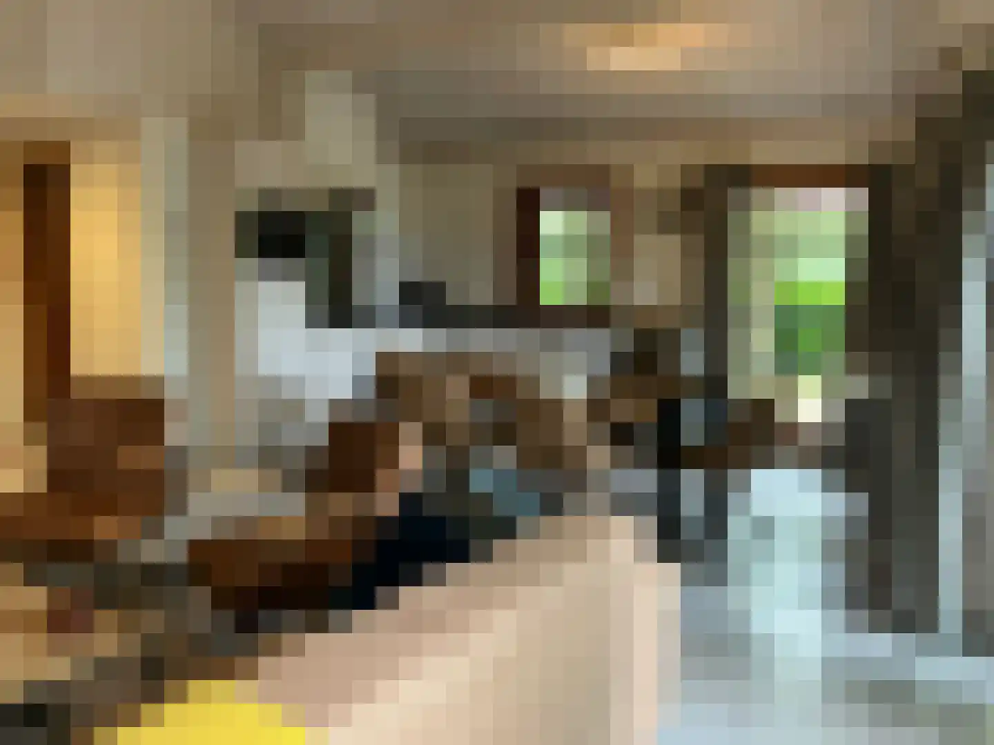 Hommelweg 2 R 218 Susteren thumbnail 5