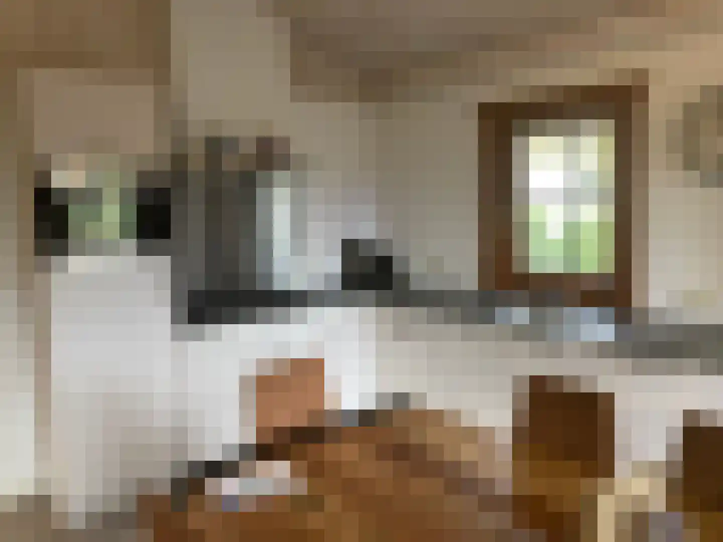 Hommelweg 2 R 218 Susteren thumbnail 8