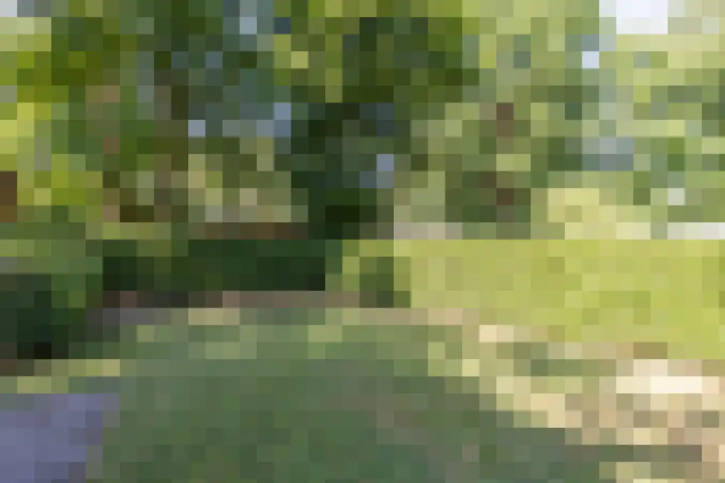 Hommelweg 2 R 219 Susteren thumbnail 11
