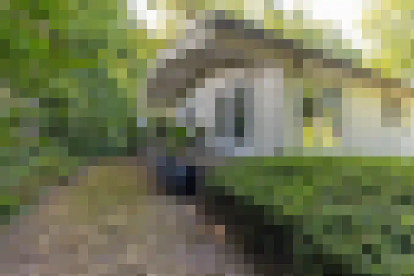 Hommelweg 2 R 219 Susteren thumbnail 12