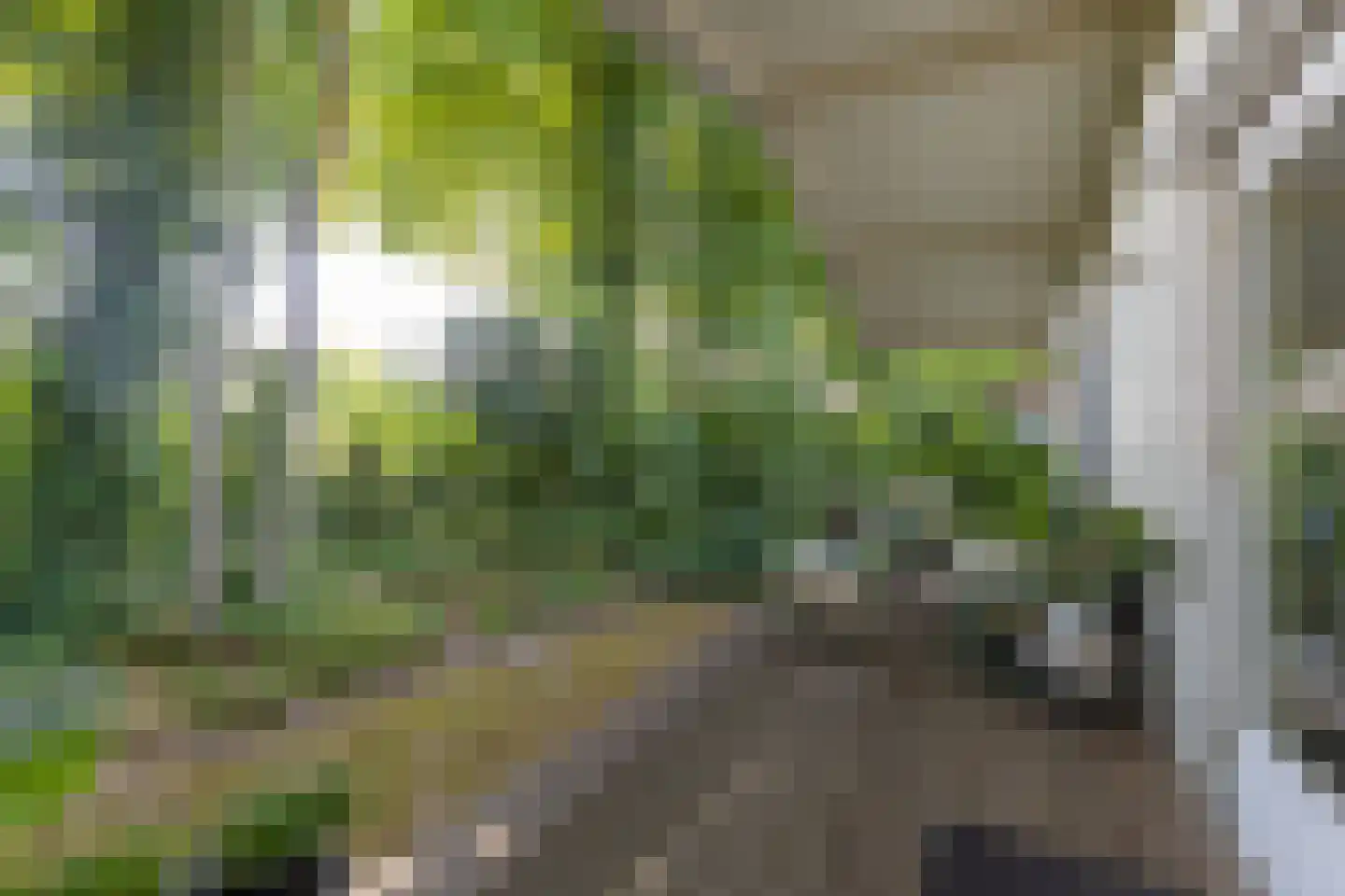 Hommelweg 2 R 219 Susteren thumbnail 14
