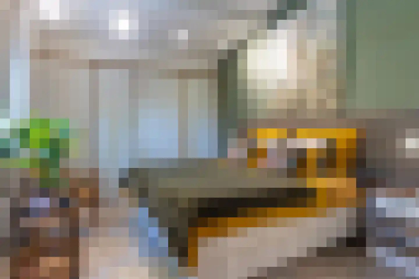 Hommelweg 2 R 219 Susteren thumbnail 20