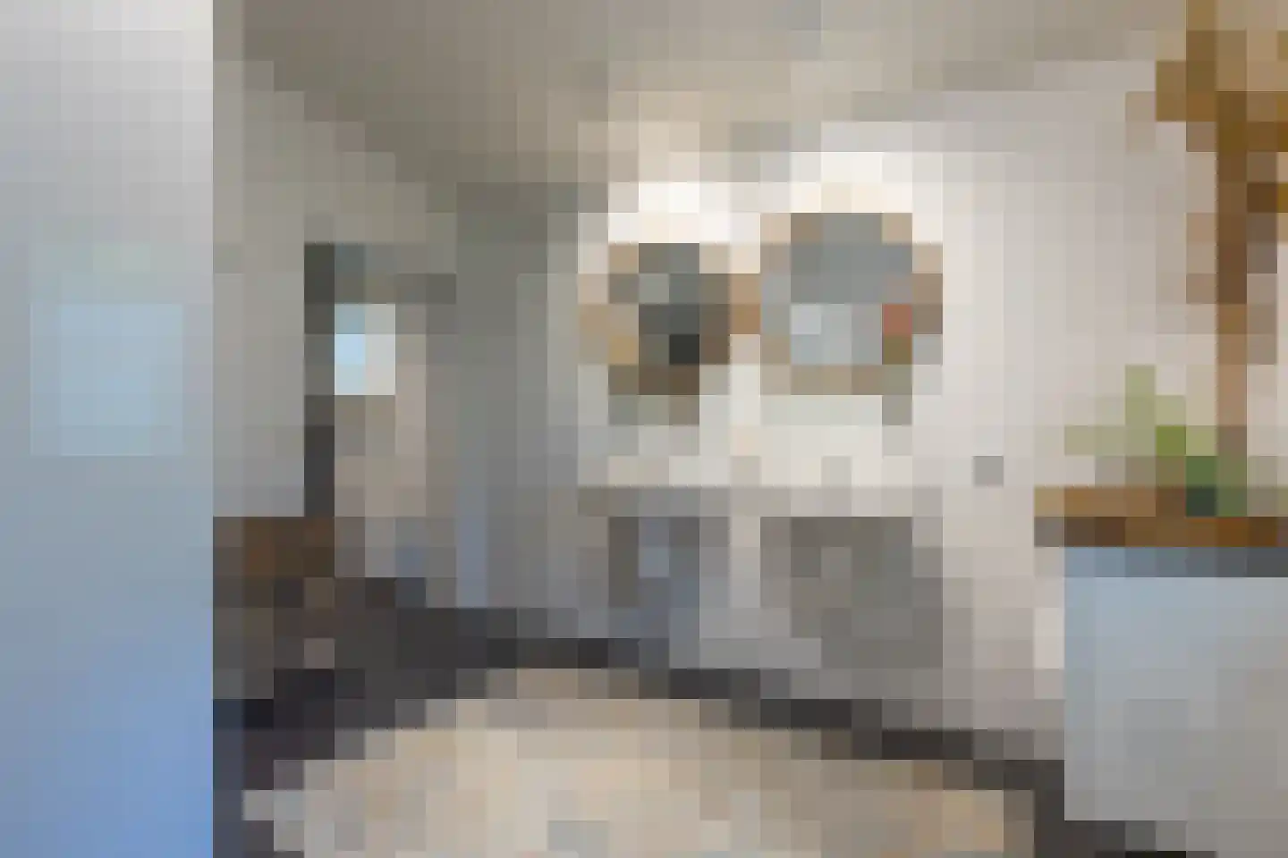 Hommelweg 2 R 219 Susteren thumbnail 22