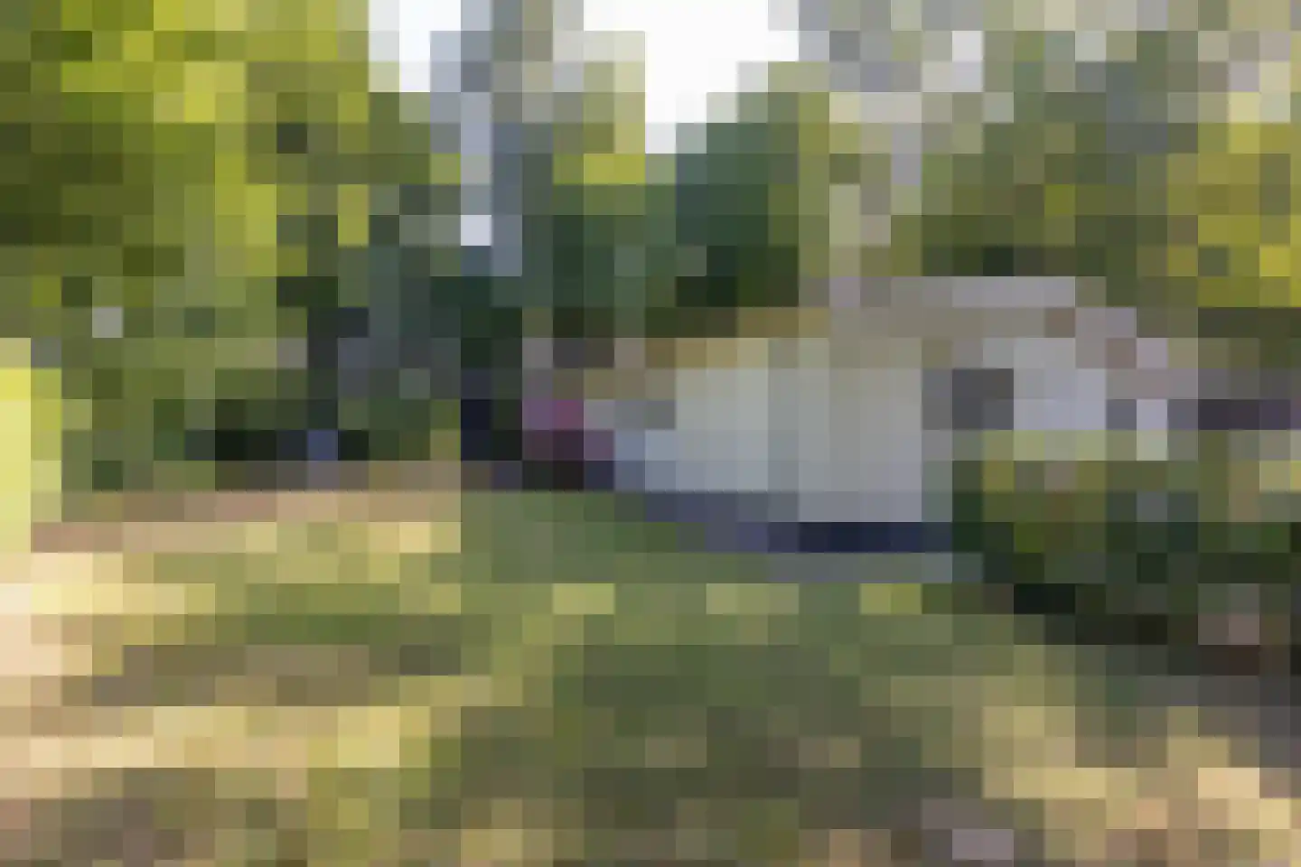 Hommelweg 2 R 219 Susteren thumbnail 4
